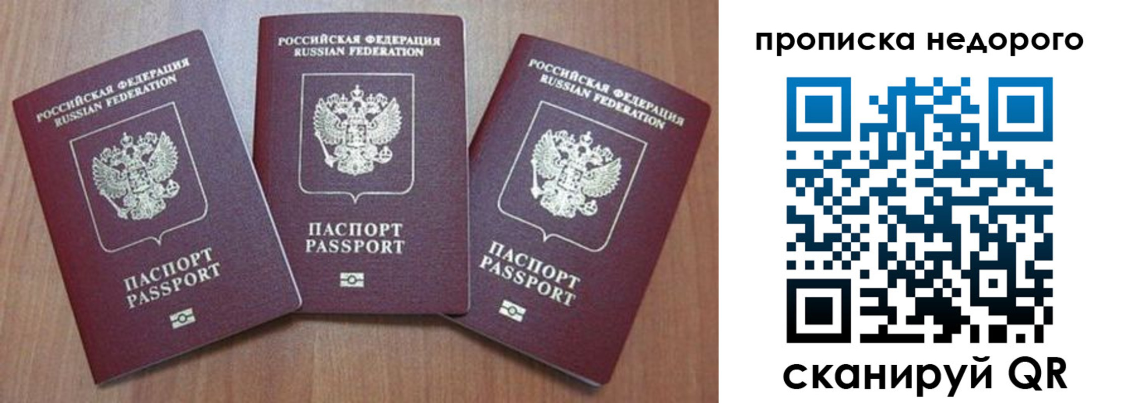 временная регистрация для школы в Гатчине